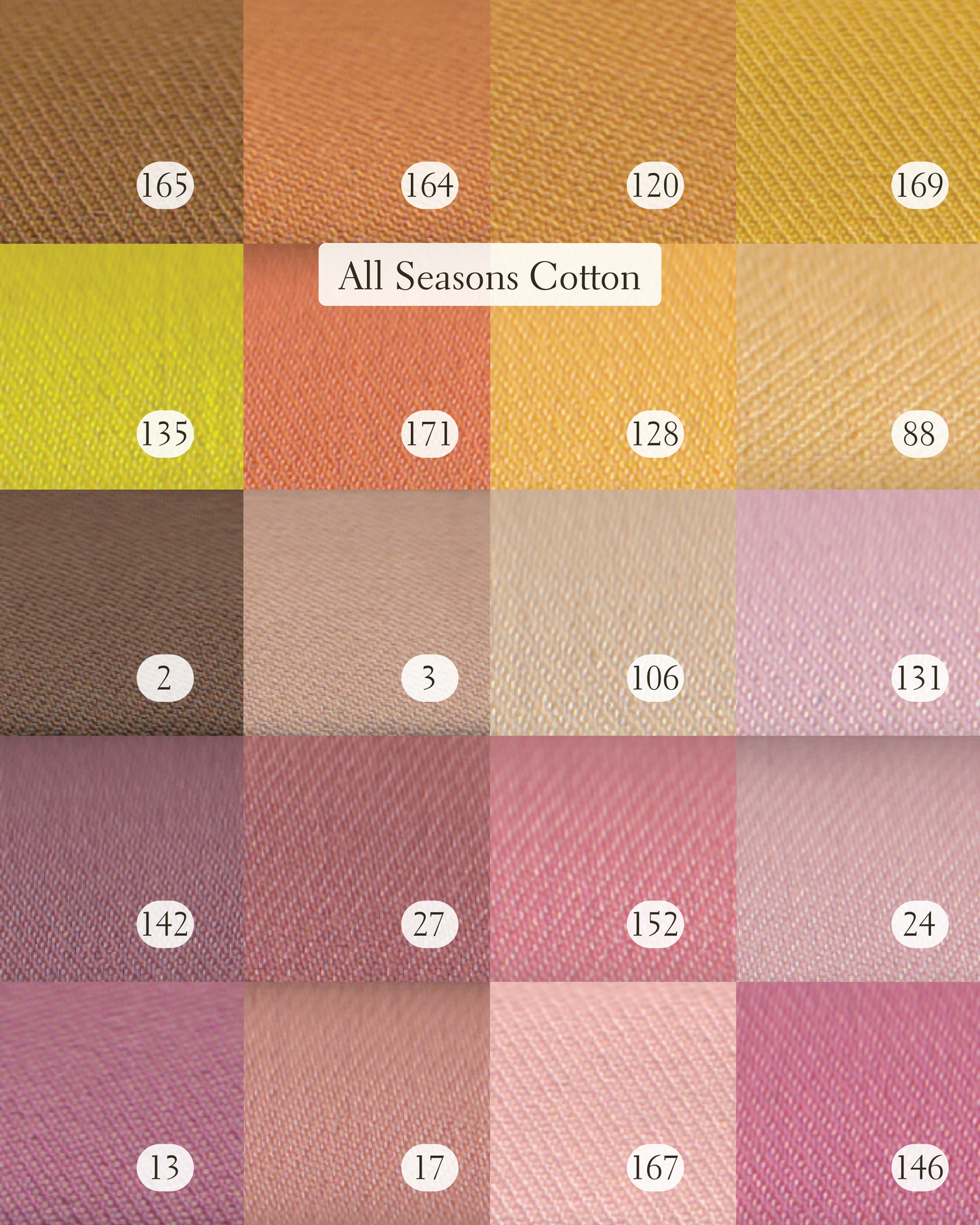 The Meaghan Blazer, All Seasons Cotton